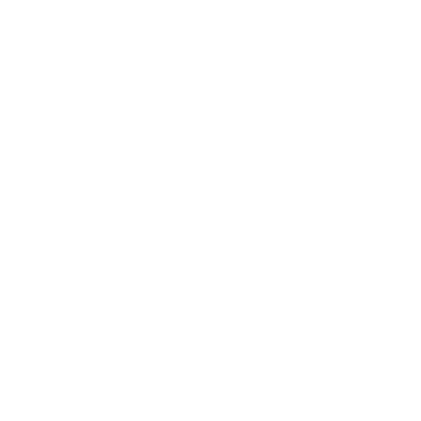 icon support service